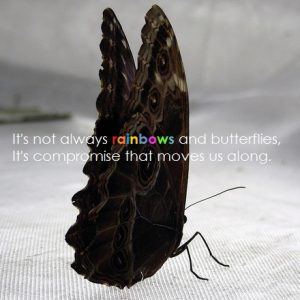 butterfly-1391739